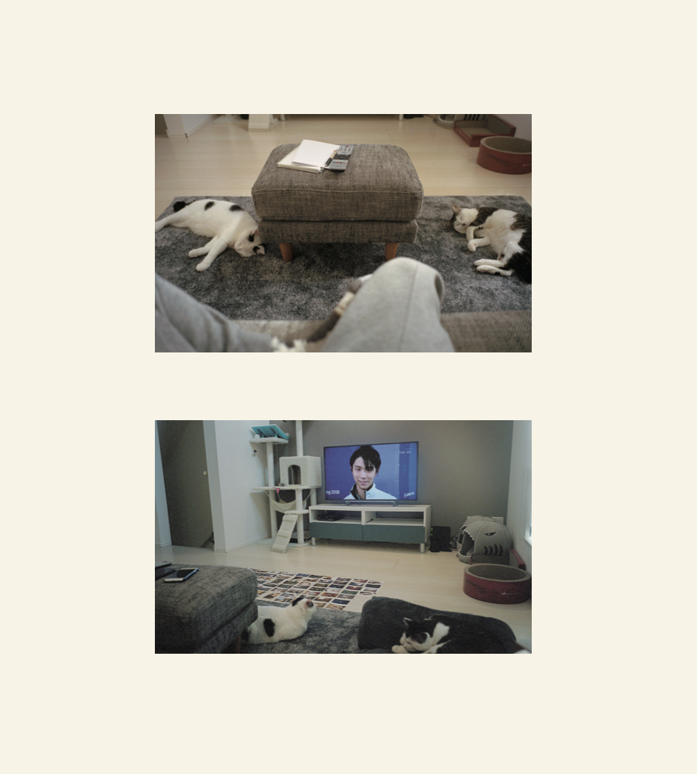 家族のあとさき/大野咲子