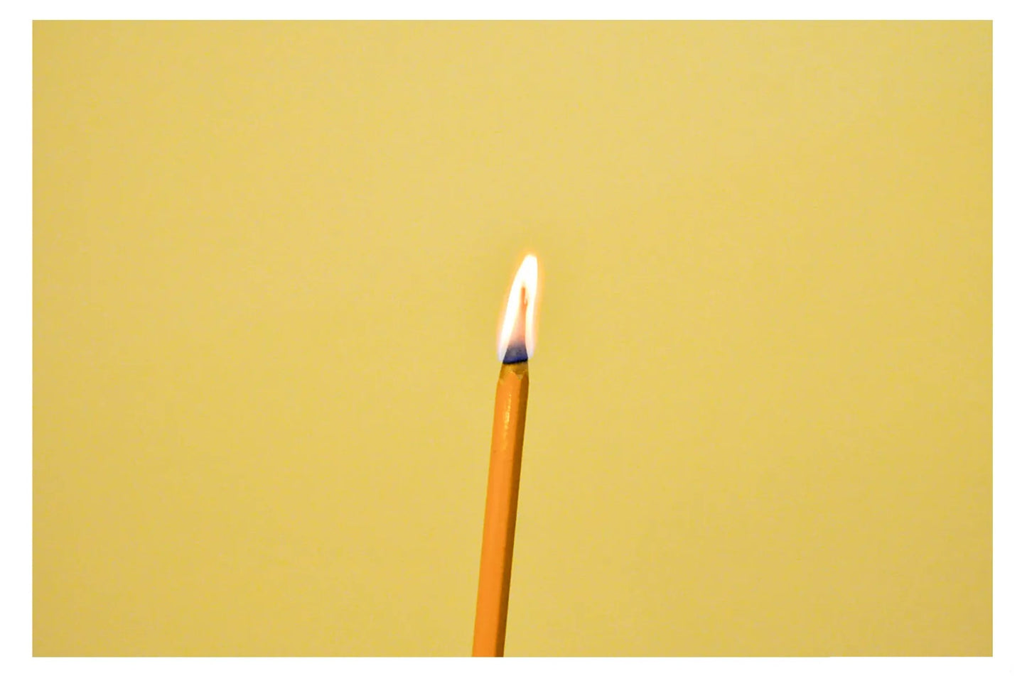 藤岡亜弥 Life Studies
