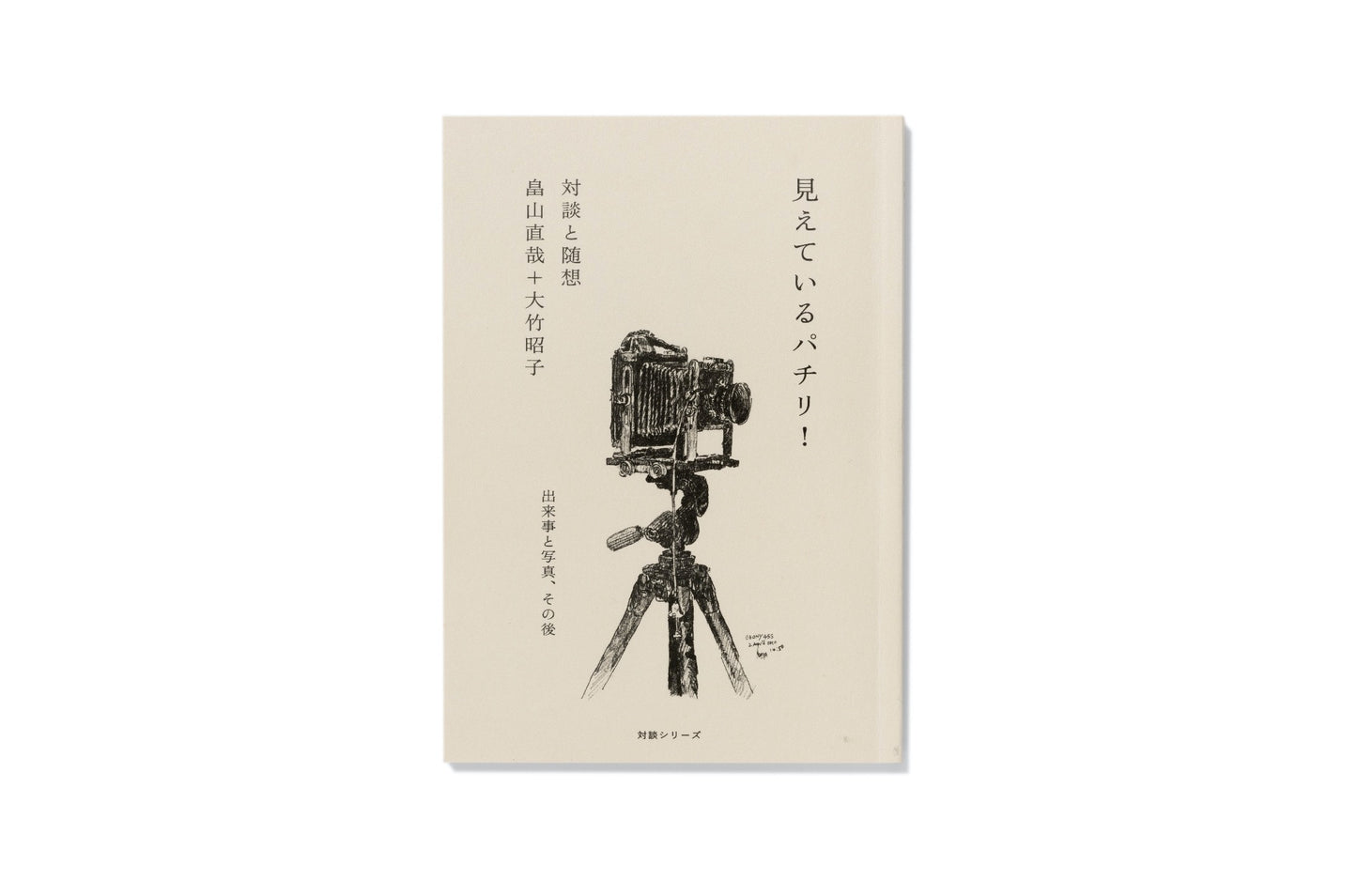 畠山直哉・大竹昭子 『見えている パチリ!』(カタリココ文庫)