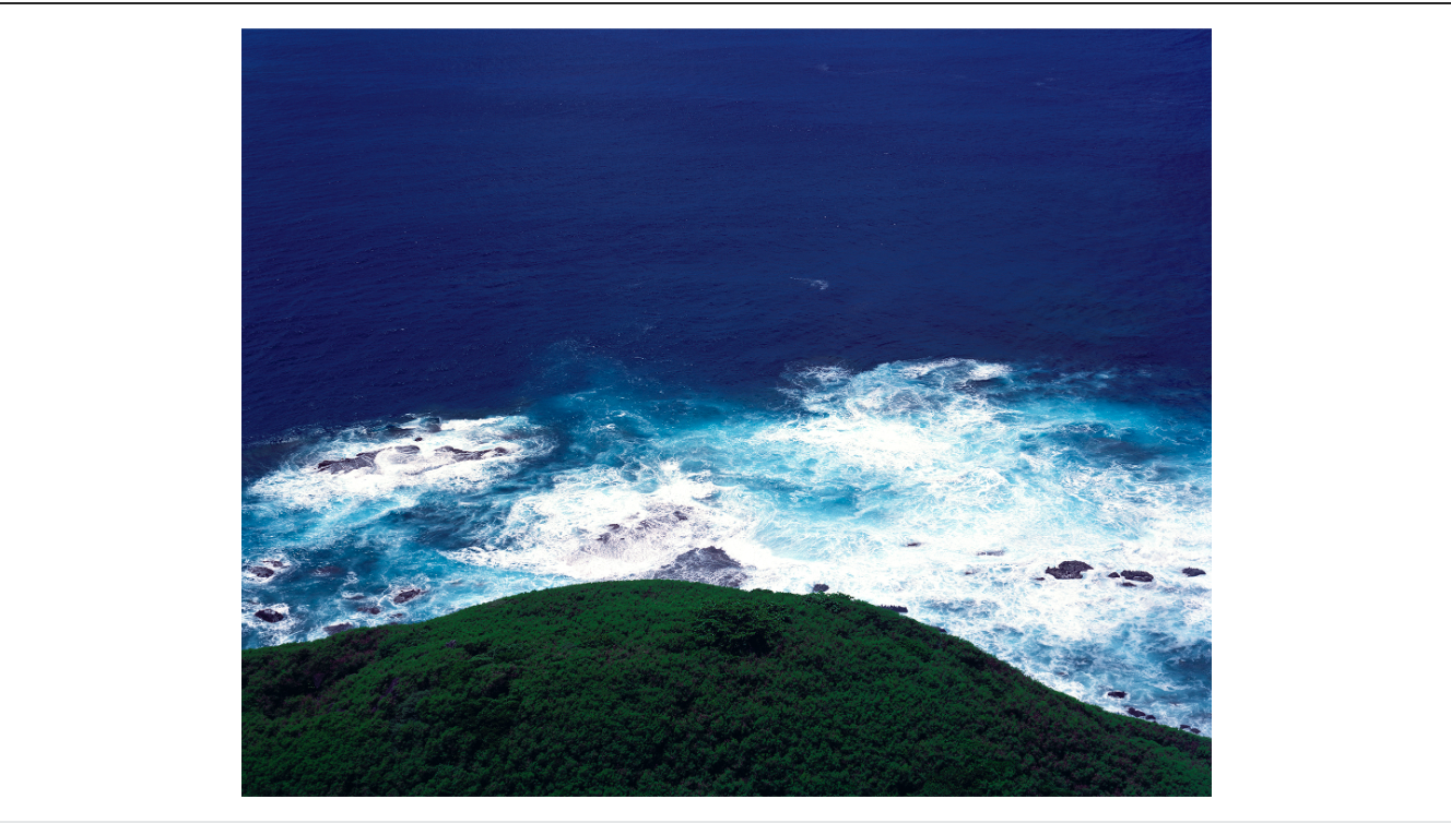 長沢慎一郎『The Bonin Islanders』