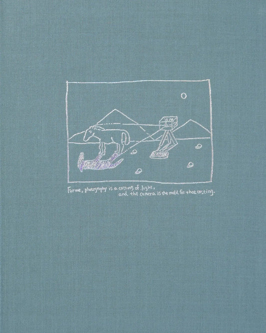光の王国/The Light/Mustang shipping air with tracking